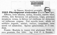 Image of Chaetoporus variecolor
